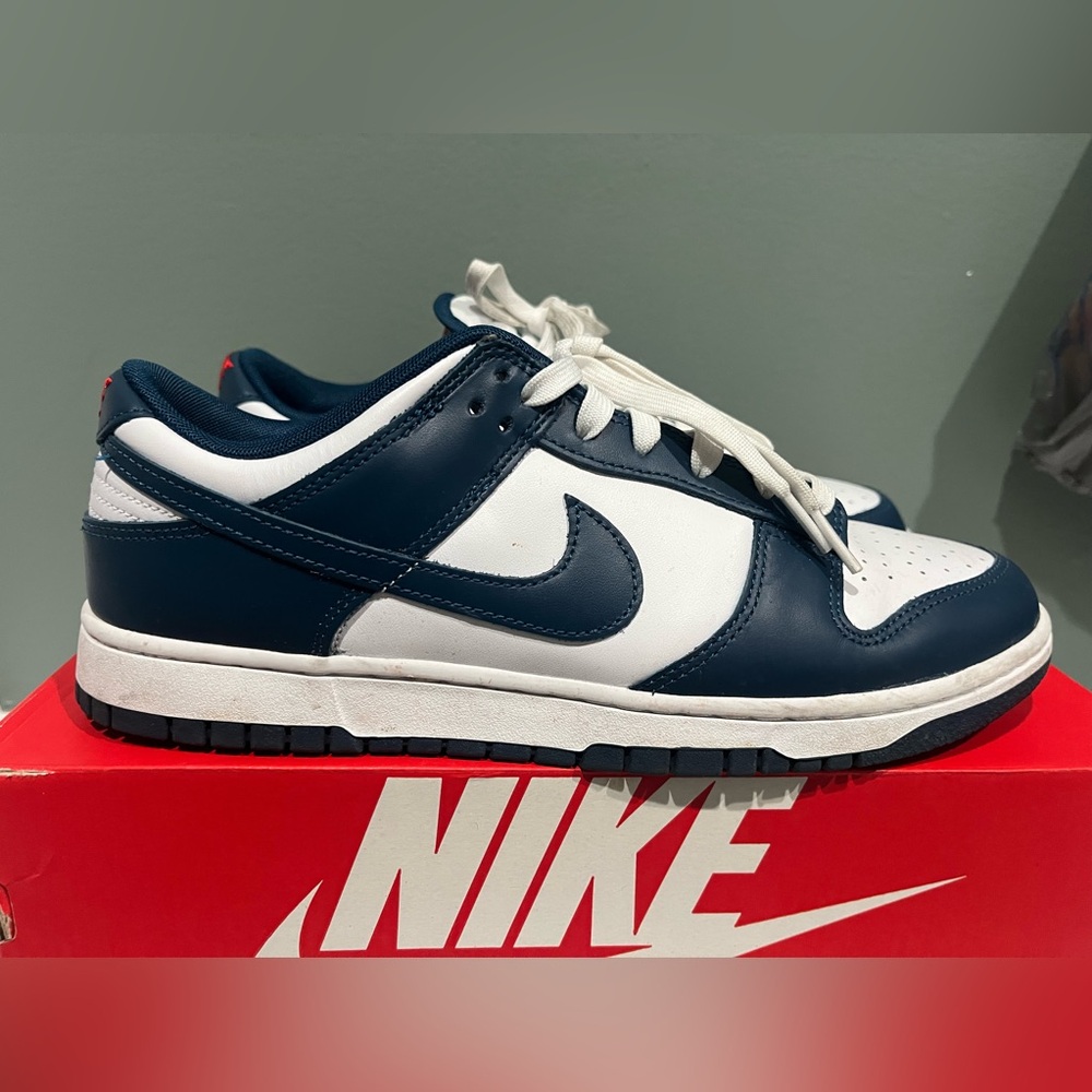 Nike Dunks Low Retro